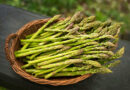 A spárga (asparagus officinalis) termesztése